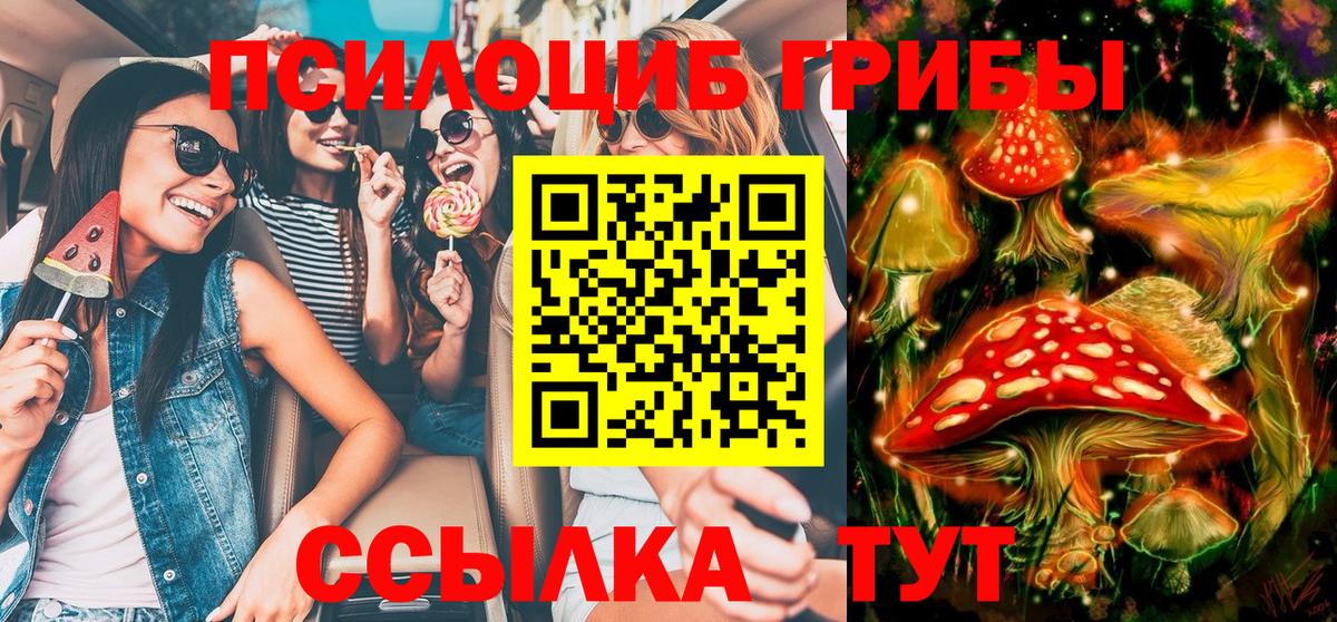 как найти наркотики  Псилоцибиновые грибы мухоморы  Вход с VPN  Галлюциногенные грибы Psilocybe  Арсеньев 